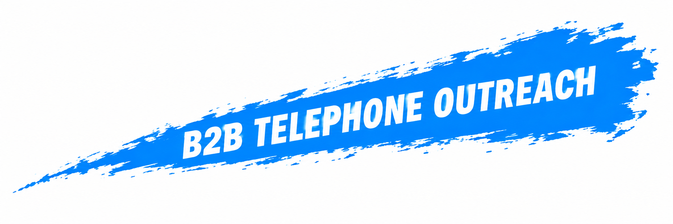 B2B telephone outreach